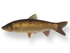 Aquafarm graskarper